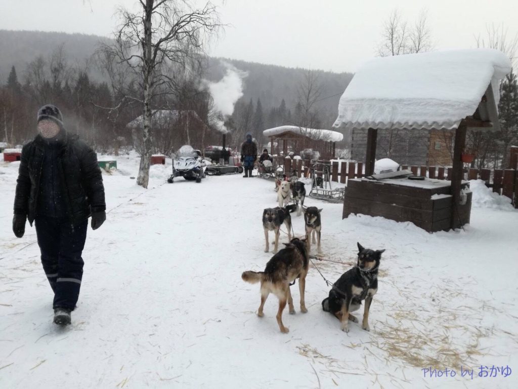 Baikal Dog Sledding Centre:ロシア・リストヴャンカで犬ぞり