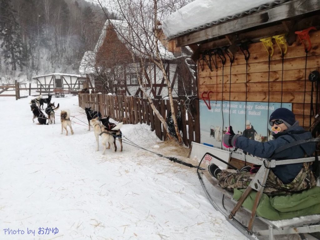 Baikal Dog Sledding Centre:ロシア・リストヴャンカで犬ぞり